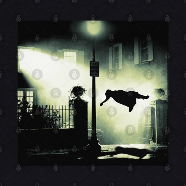 The Exorcist Regan Floating by darklordpug